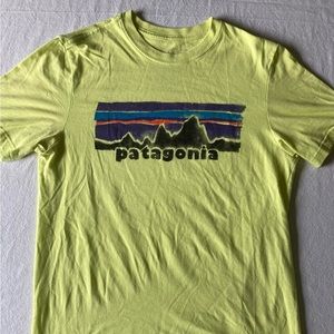 Patagonia t-shirt